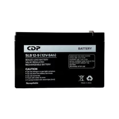 CDP169 (2)